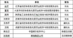 軟件外包行業(yè)聚力發(fā)展，第四屆中國(guó)軟件與信息服務(wù)外包年會(huì)成功舉辦